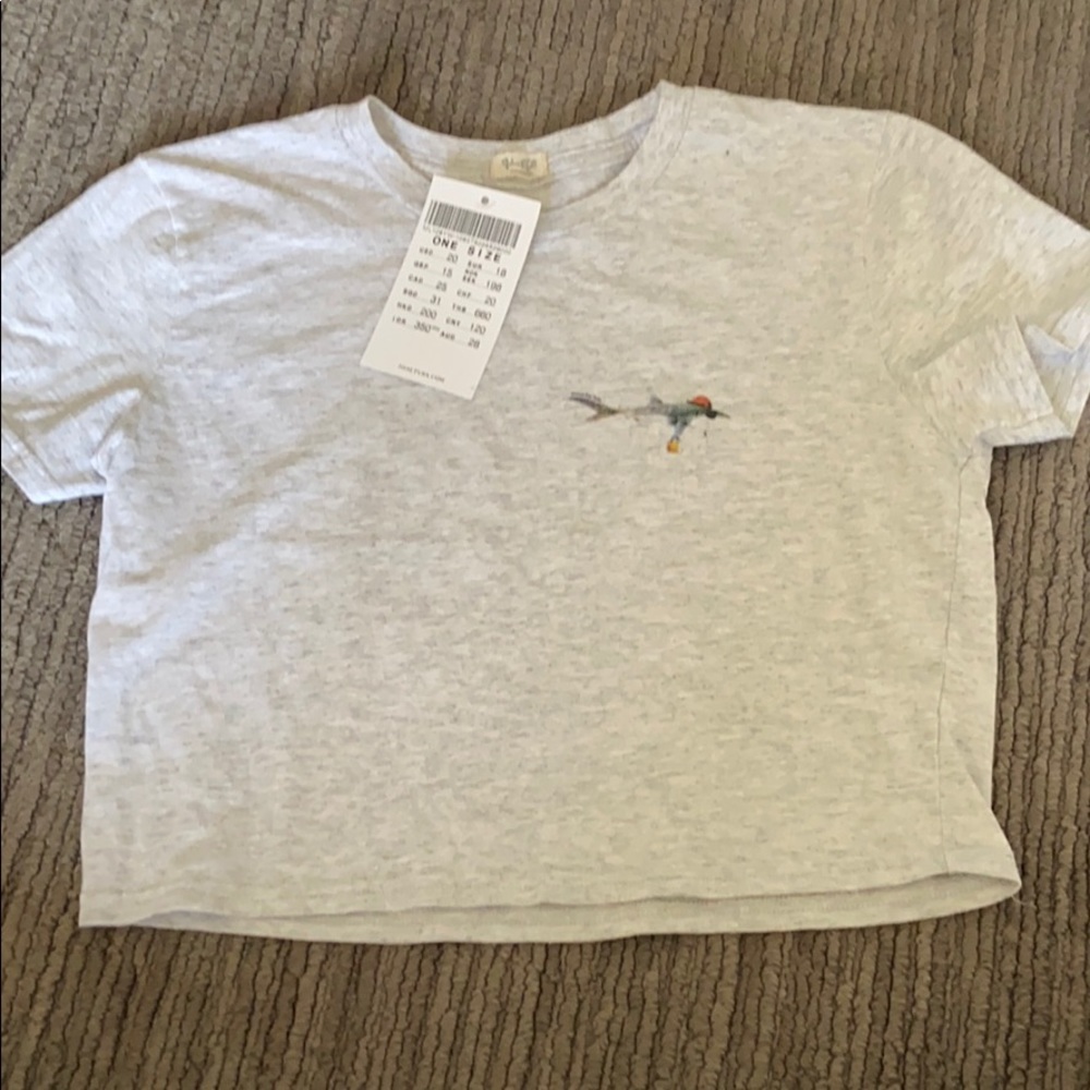 Brandy Melville grey crop tshirt